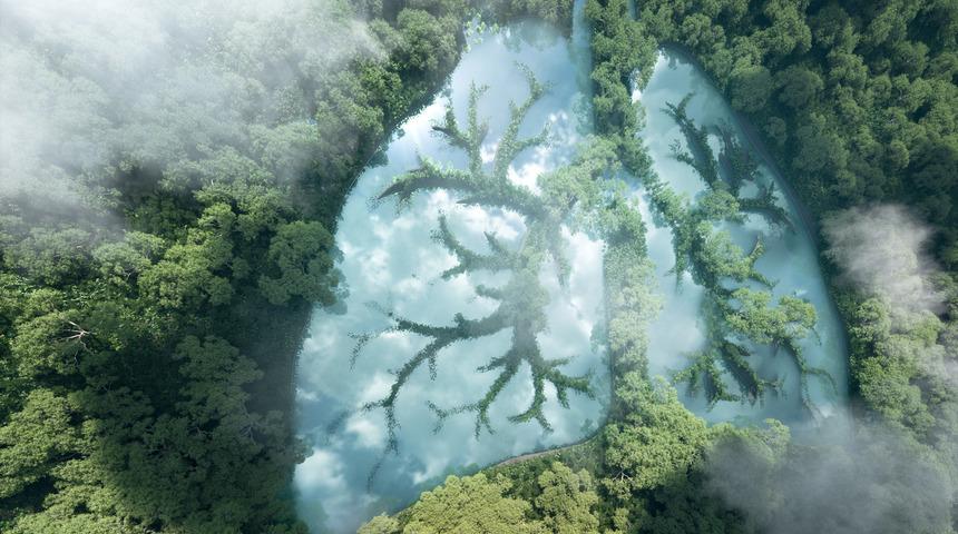 Korkutan açıklama: 2100 yılında oksijen sıkıntısı çekeceğiz