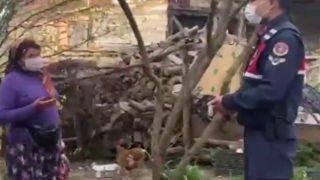 Şerife teyze söyledi, Jandarma sosyal medyadan paylaştı