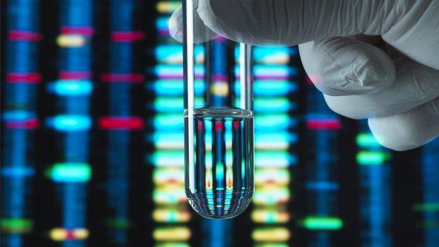 Bazı araştırmacılar DNA'nın bu şekilde kullanılmasının genetiğe olduğundan fazla önem atfedilmesine neden olduğunu söylüyor