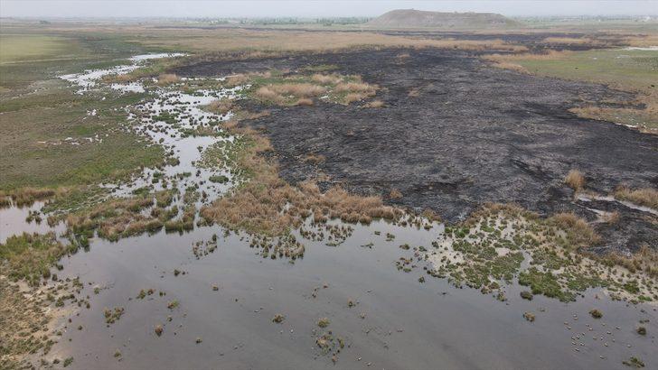 Erzincan'da koruma altında bulunan Ekşisu Sazlık Alanı'ndaki yangın söndü G2
