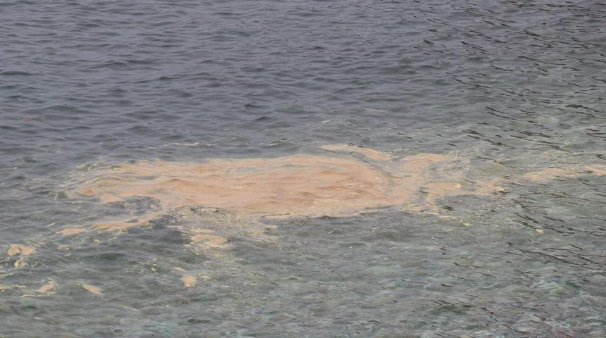 Alanya'da deniz salyası kıyıya vurdu, suyun rengi değişti