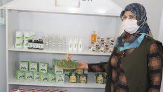 Moringa bitkisi sayesinde iş kadını oldular!