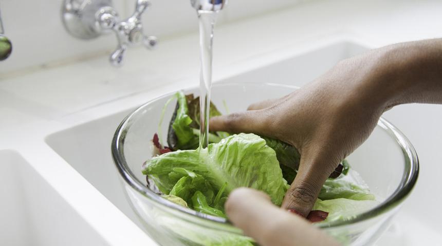 Sirkeli su temizlemiyormuş! İşte pestisite karşı etkili yöntem