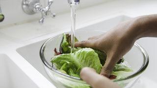 Sirkeli su temizlemiyormuş! İşte pestisite karşı etkili yöntem