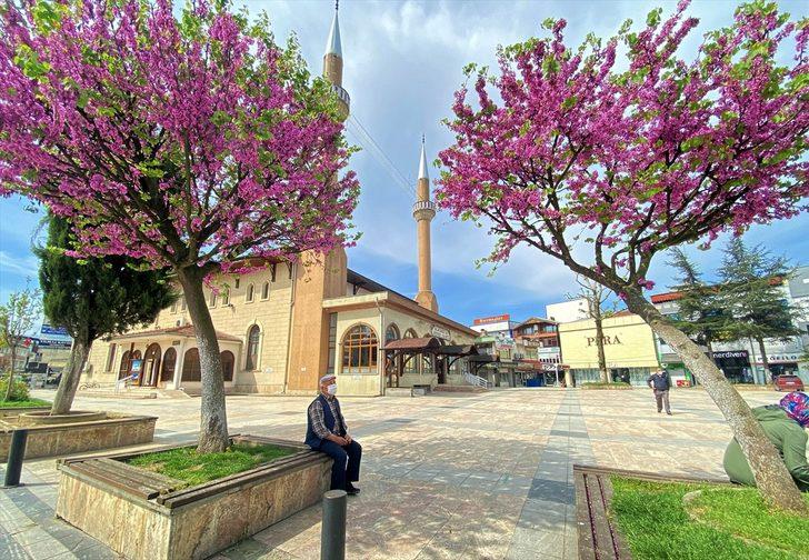 Doğu Marmara ve Batı Karadeniz'de "tam kapanma" sürecinin altıncı gününde sessizlik hakim G4