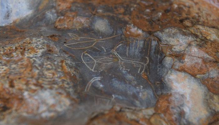 Mersin’de bulunan 8 bin yıllık kaya resimleri için ilk adım atılıyor