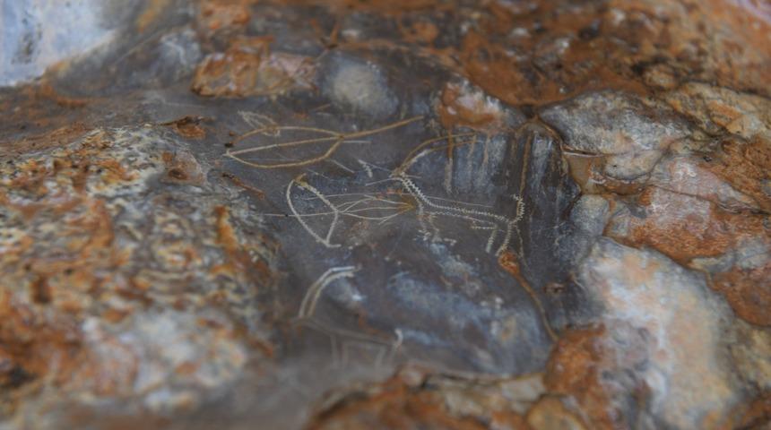 Mersin’de bulunan 8 bin yıllık kaya resimleri için ilk adım atılıyor