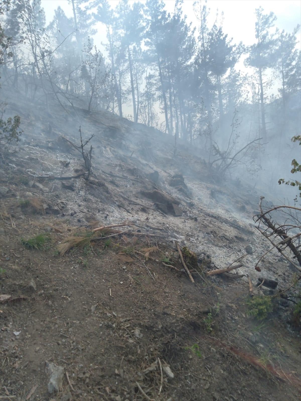 Osmaniye'de &ccedil;ıkan &ouml;rt&uuml; yangınında 10 dekar alan zarar g&ouml;rd&uuml;