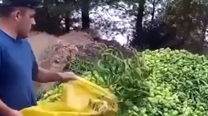 Pazar yerleri genelgesi, &uuml;r&uuml;nlerini &ccedil;&ouml;pe atmak zorunda kalan &ccedil;ift&ccedil;iyi rahatlatır mı?