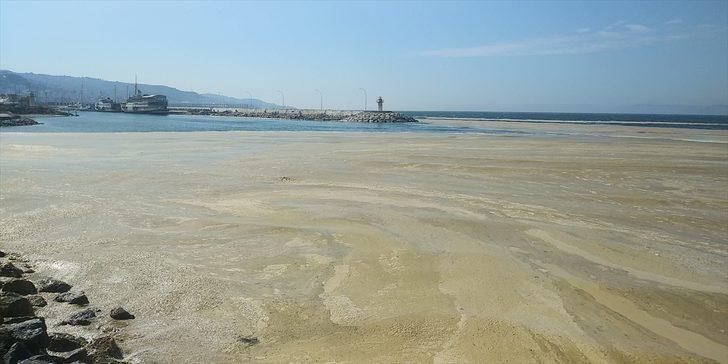 Marmara Denizi'nin birçok noktasına yayılan "deniz salyası" Mudanya sahilini de kapladı G2