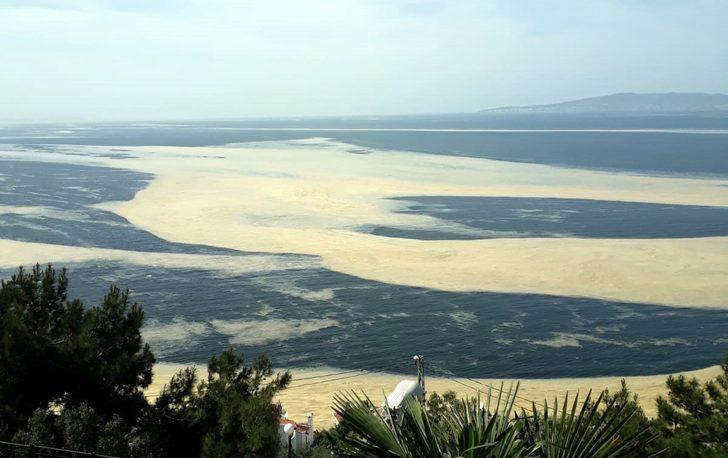 Marmara Denizi'nin birçok noktasına yayılan "deniz salyası" Mudanya sahilini de kapladı G5