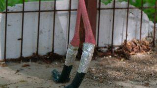 Ayakları yanan flamingoya protez bacak yaptılar