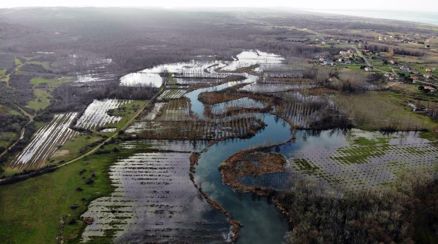 Dünyada ikinci, Türkiye’de ise tek parça halindeki en büyük longoz görenleri şaşkına çevirdi