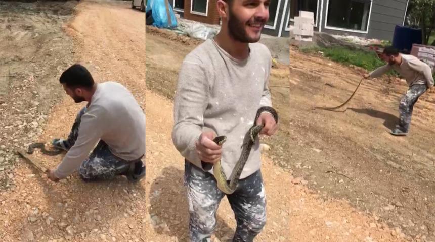 Yılanla oyuncak gibi oynadılar!