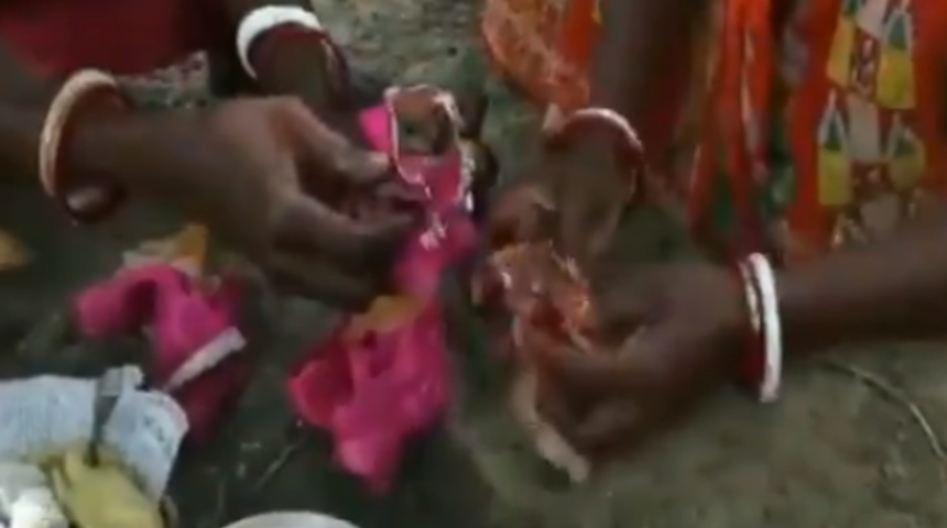 Hindistan'da 'yağışların artması için kurbağaları evlendiriyorlar