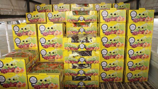 Mersin'de erkenci siyah üzüm, fiyatıyla üreticisini sevindirdi