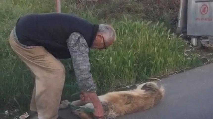 Sarıyer'de köpeğini silahla vurarak öldürdüğü iddia edilen kişi gözaltına alındı