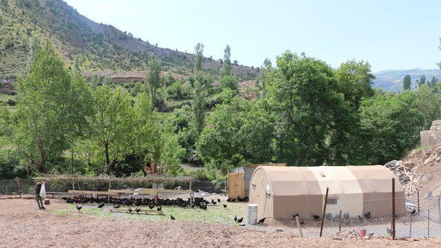 Sirnak Haberleri Son Dakika Sirnak Gelismeleri Mynet