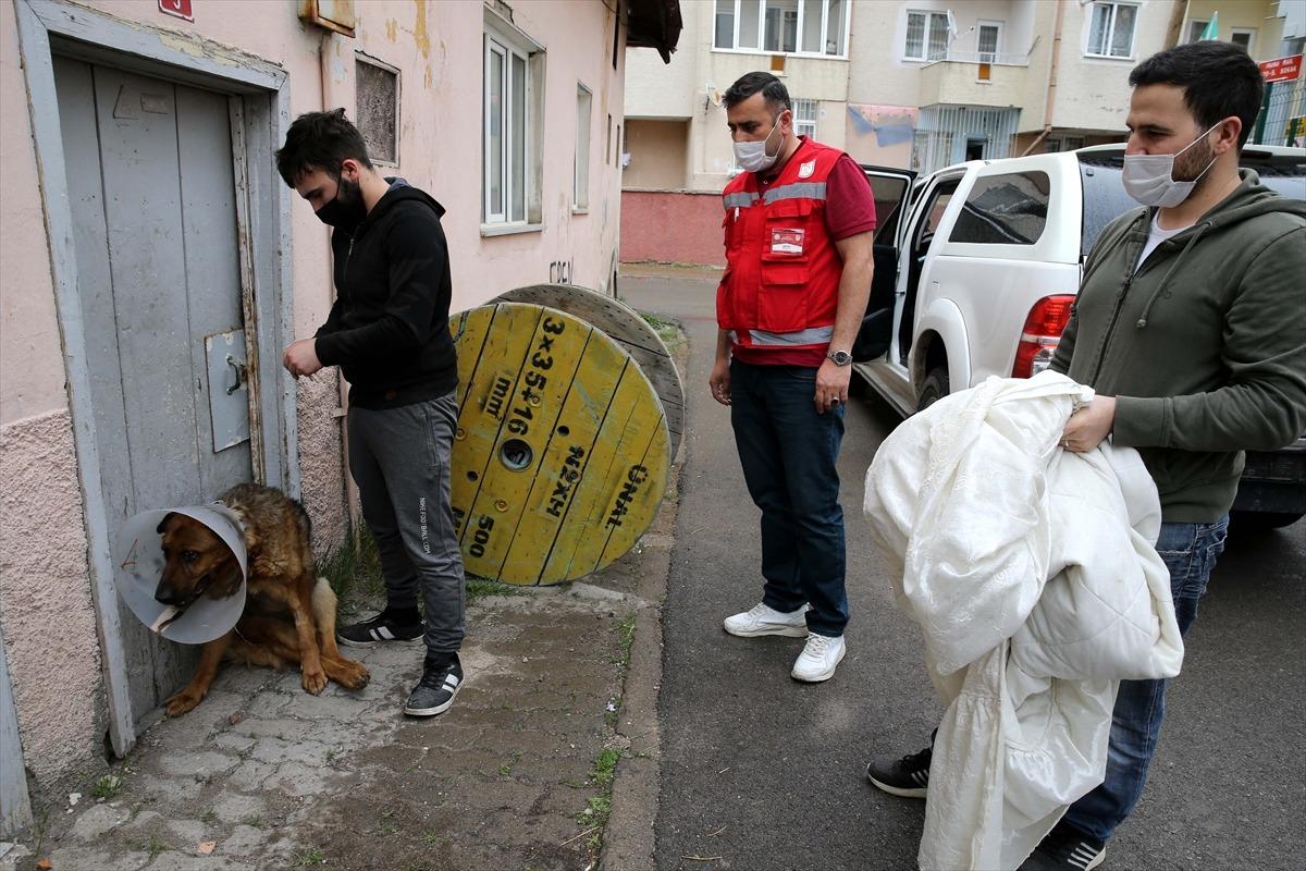 Sivas'ta ameliyat sonrası rahatsızlanan k&ouml;peği Vefa Sosyal Destek Grubu hastaneye g&ouml;t&uuml;rd&uuml;