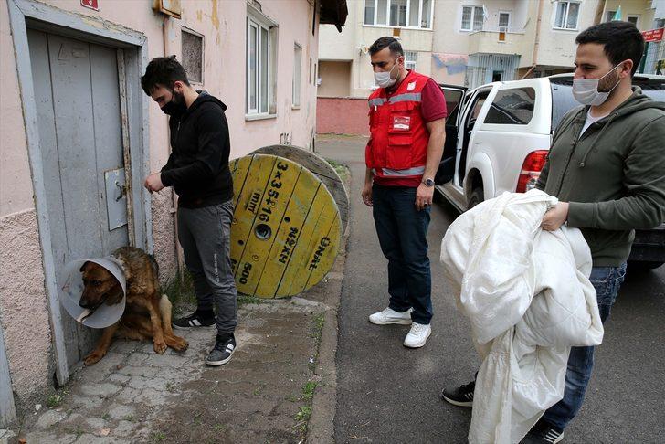 Sivas'ta ameliyat sonrası rahatsızlanan köpeği Vefa Sosyal Destek Grubu hastaneye götürdü G1