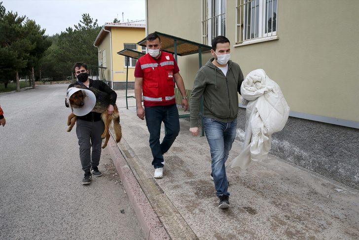 Sivas'ta ameliyat sonrası rahatsızlanan köpeği Vefa Sosyal Destek Grubu hastaneye götürdü G3