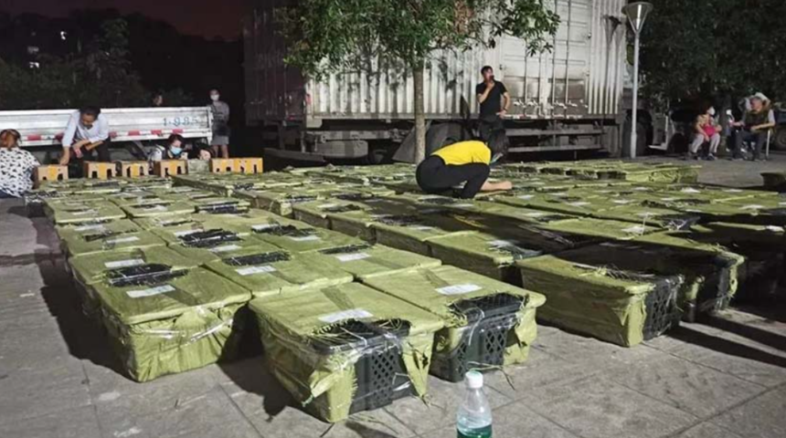 Dehşete düşüren anlar! İnternetten canlı canlı satıyorlar