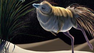 Olağanüstü gece görüşüne ve işitme yeteneğine sahip: Shuvuuia