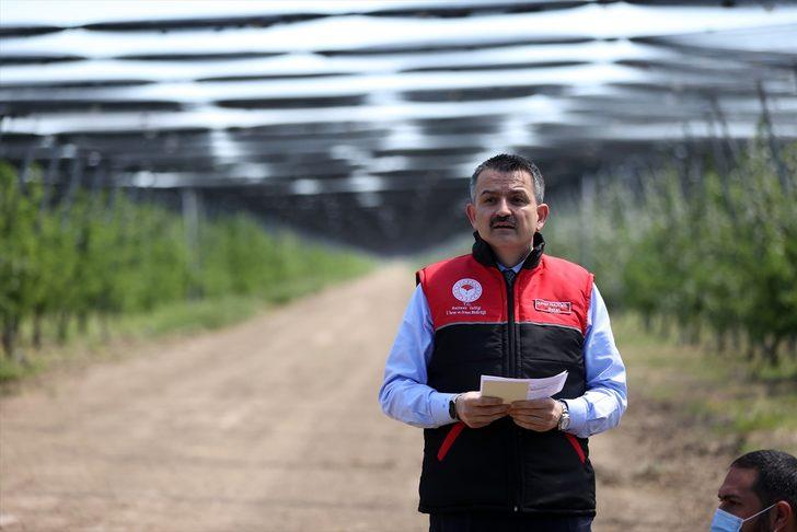 Tarım ve Orman Bakanı Pakdemirli, Koyunculuk Araştırma Enstitüsü Müdürlüğünde incelemelerde bulundu G1