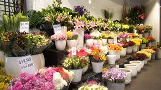 Hafta sonu çiçekçiler açık mı? Anneler gününde çiçekçiler çalışıyor mu?