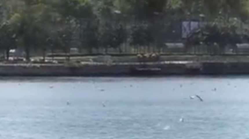 İmamoğlu'ndan Haliç paylaşımı