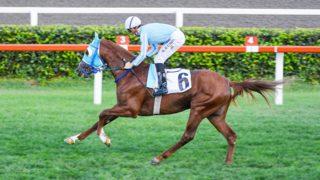 59. TBMM Koşusu'nun galibi Hızlı Ahmet