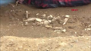 Dünya göç haritasını değiştirecek bulgu! Beşiktaş'ta arkeoloji üssü kuruldu