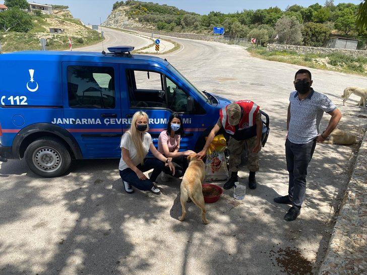 Mersin ve Hatay'da tam kapanmada sokak hayvanları unutulmadı G2
