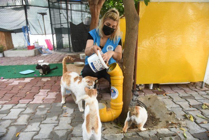 Mersin ve Hatay'da tam kapanmada sokak hayvanları unutulmadı G5