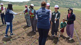 Gaziantep'e tarlada çalışan kadınlara Anneler Günü sürprizi
