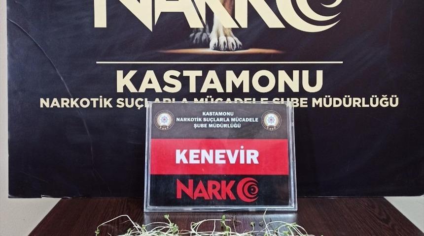 Kastamonu'daki uyuşturucu operasyonlarında 4 kişi gözaltına alındı
