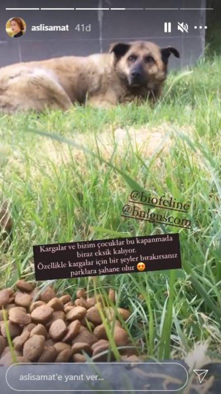 Oyuncu Aslı Samat yasaklarda hayvanları unutmadı! G2