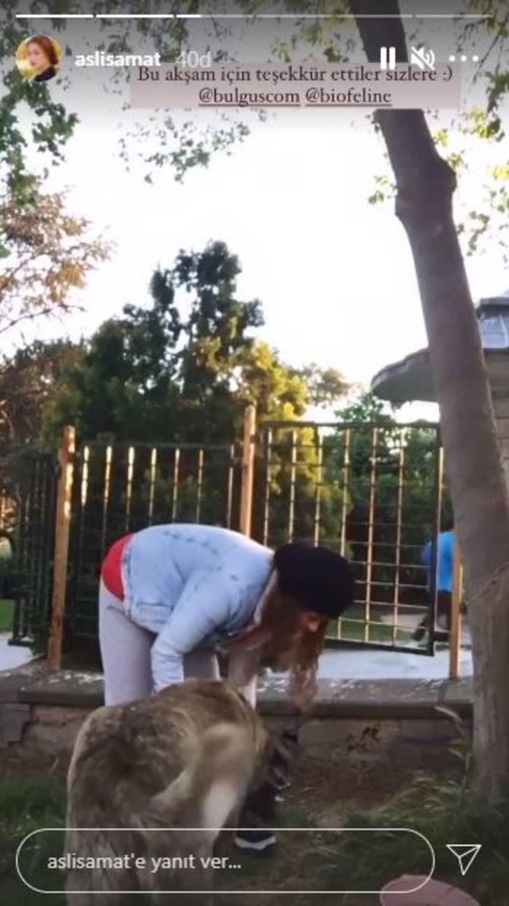 Oyuncu Aslı Samat yasaklarda hayvanları unutmadı! G3