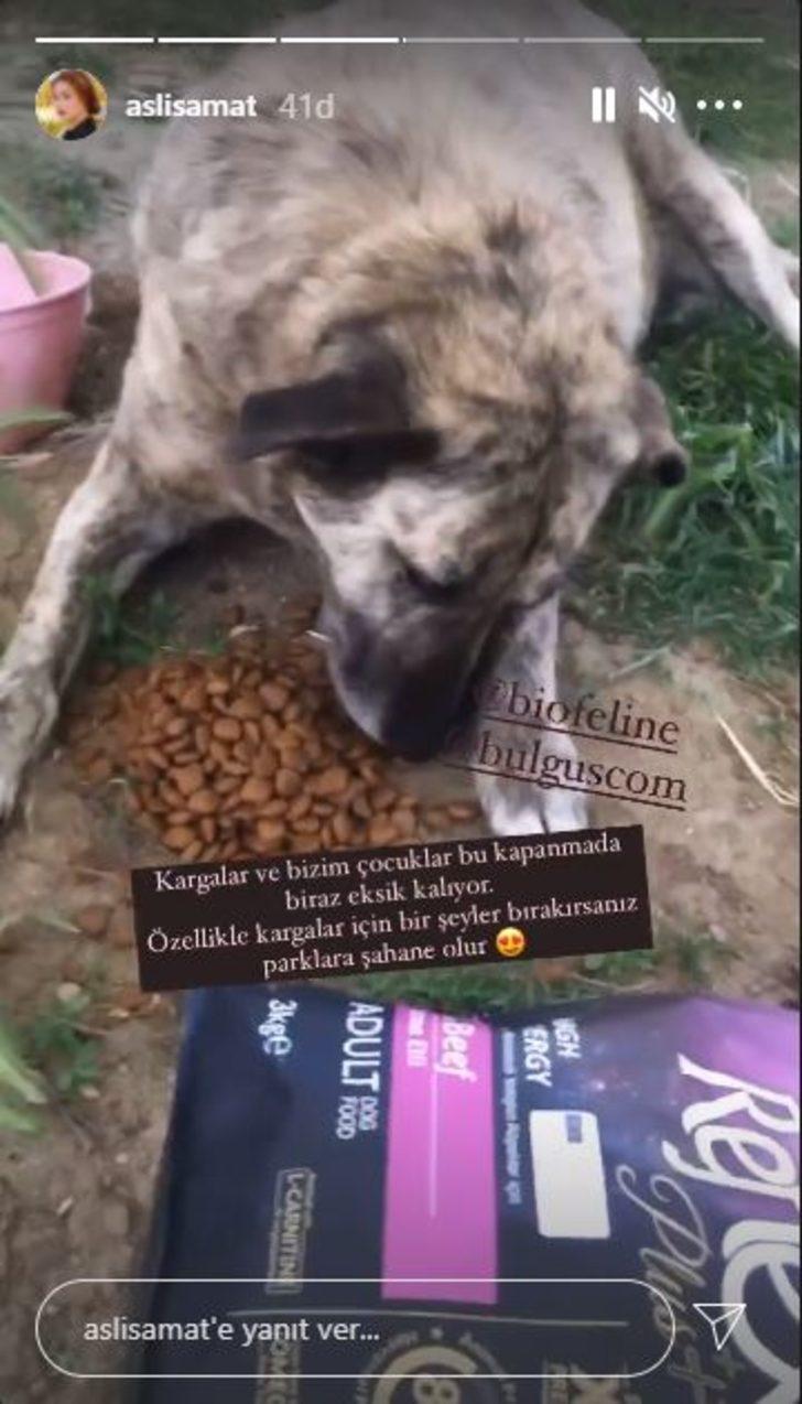 Oyuncu Aslı Samat yasaklarda hayvanları unutmadı! G4