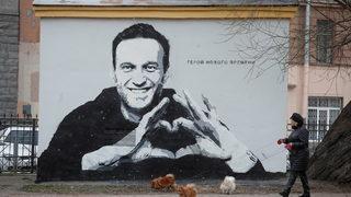 Rus muhalif lider Navalny'yi tedavi eden doktor ormanda kayboldu