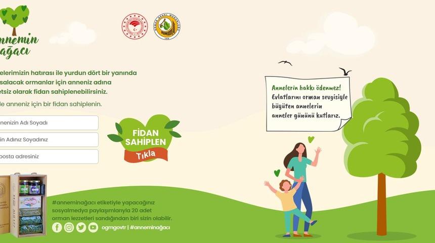 Annemin Ağacı Kampanyası’na nasıl başvuru yapılır? Annemin Ağacı Kampanyası nedir?