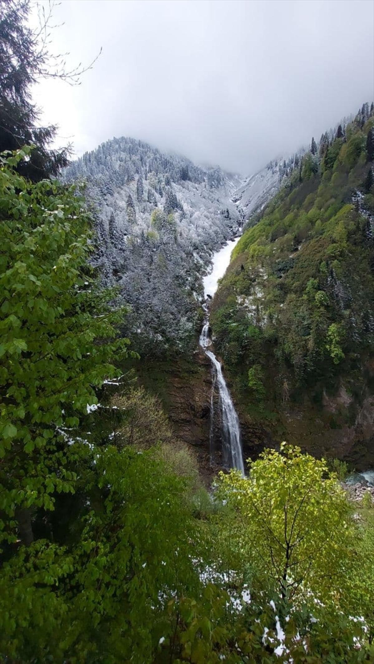 Rize'nin y&uuml;ksek rakımlı yaylalarına kar yağdı