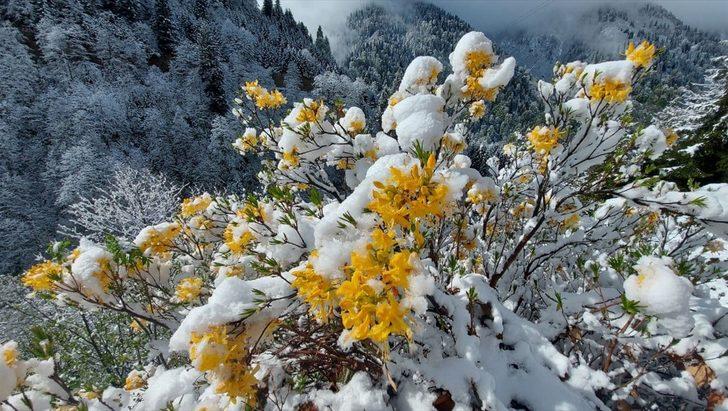 Rize'nin yüksek rakımlı yaylalarına kar yağdı G2