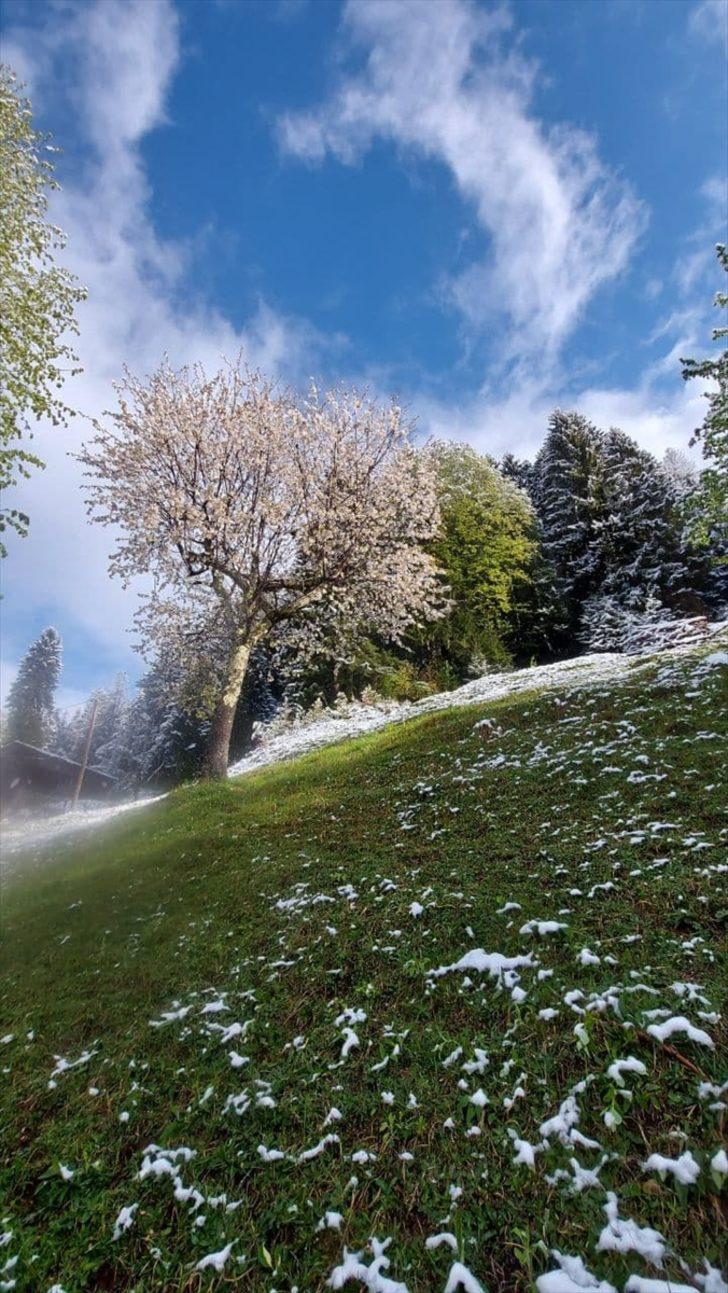Rize'nin yüksek rakımlı yaylalarına kar yağdı G3