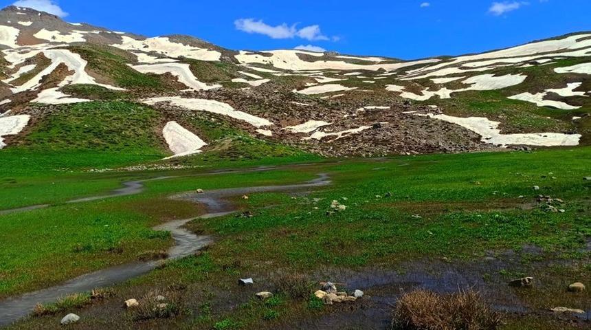 Yeşil ve beyazın tek bir yerde buluştuğu Şırnak yaylarına bahar geldi