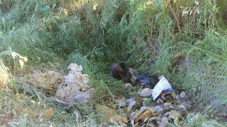 Manisa'da kan donduran olay! 4 günlük bebek boş arsaya bırakıldı