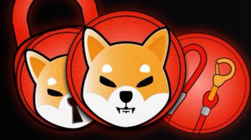 "DOGE katili" Shiba Coin (SHIB) nedir? Shiba Coin (SHIB) nasıl alınır? 