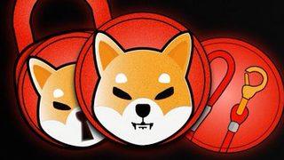 DOGE katili Shiba Coin (SHIB) nedir? Shiba Coin (SHIB) nasıl alınır? 