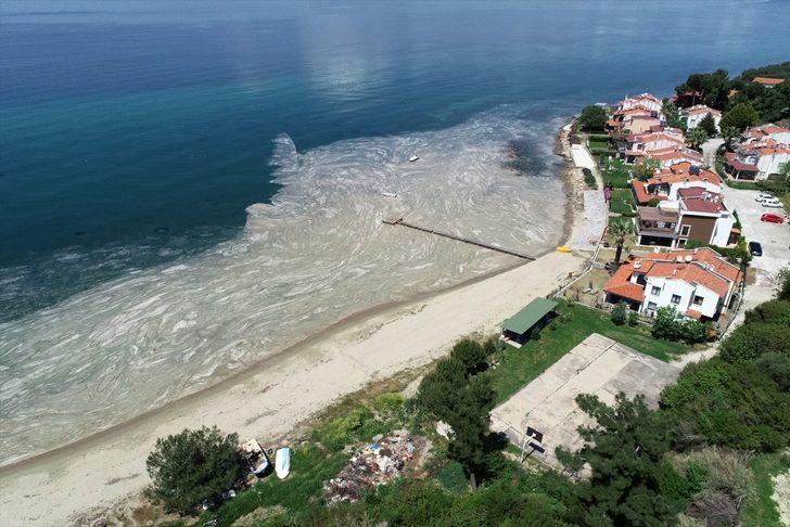 Deniz salyası "sahte dip yapısı" oluşturarak balıkları olumsuz etkiliyor G3