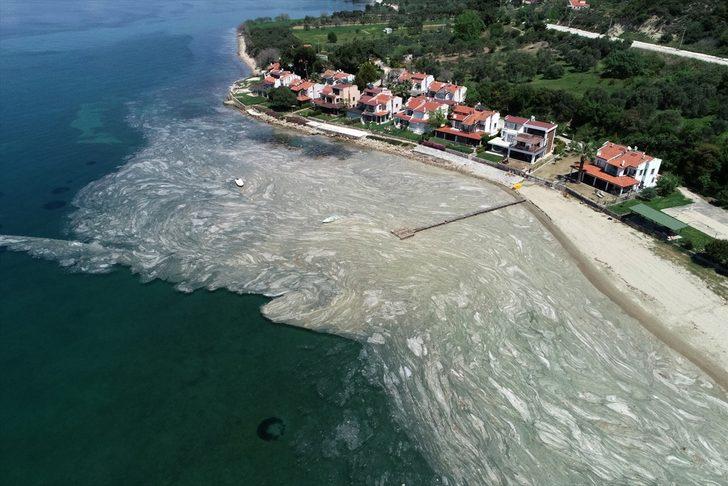 Deniz salyası "sahte dip yapısı" oluşturarak balıkları olumsuz etkiliyor G4